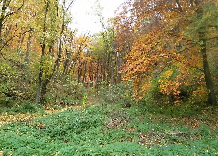 Apartment Biro-udvar Vendeghaz *